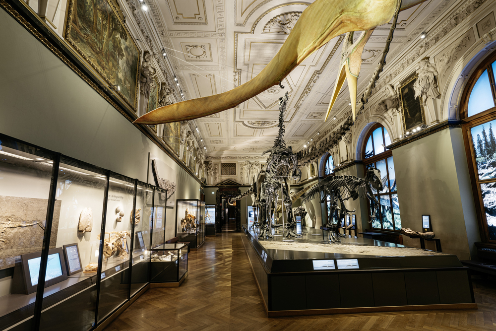Naturhistorisches Museum / Naturhistorisches Museum (Natural History Museum)